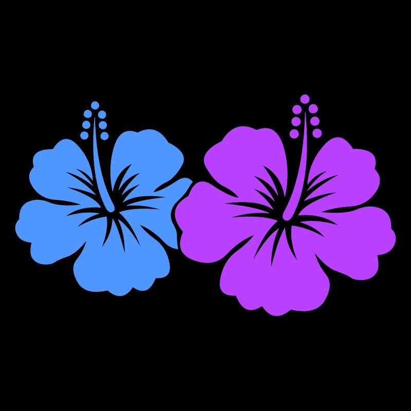 Fleur d’hibiscus