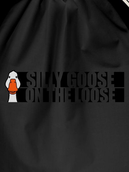 goose on the loose