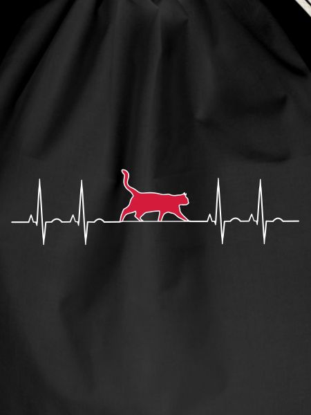 EKG cat