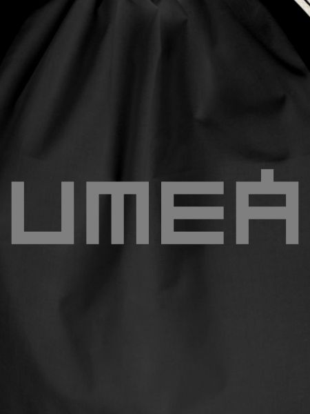 Umea