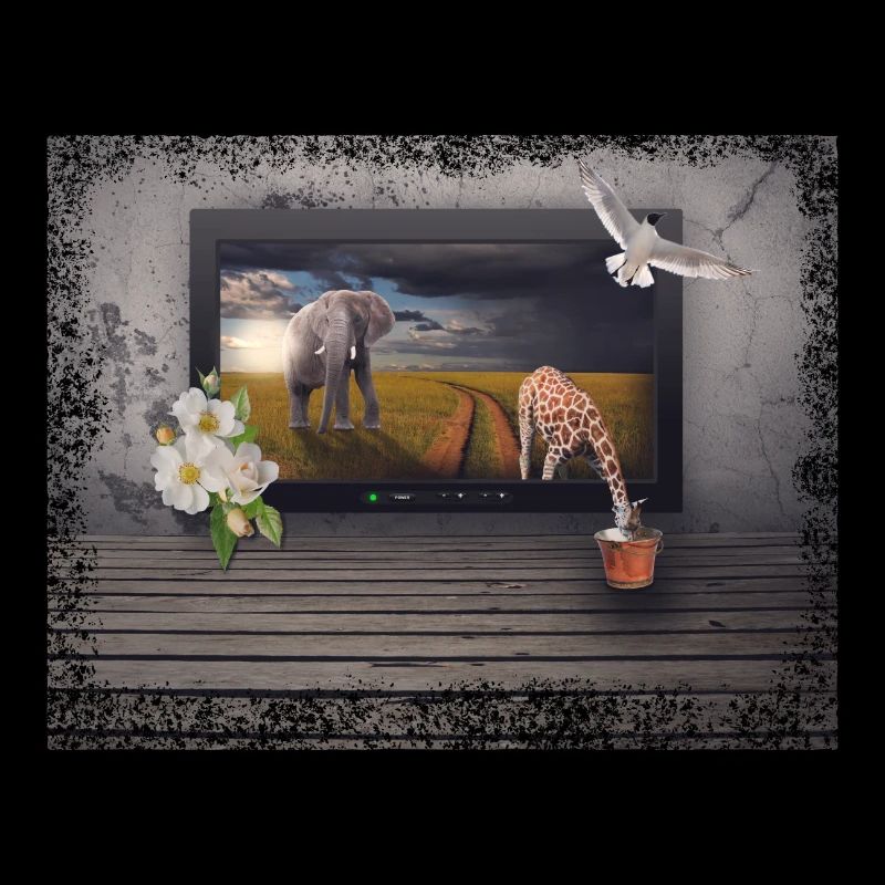 Fantasie Bild