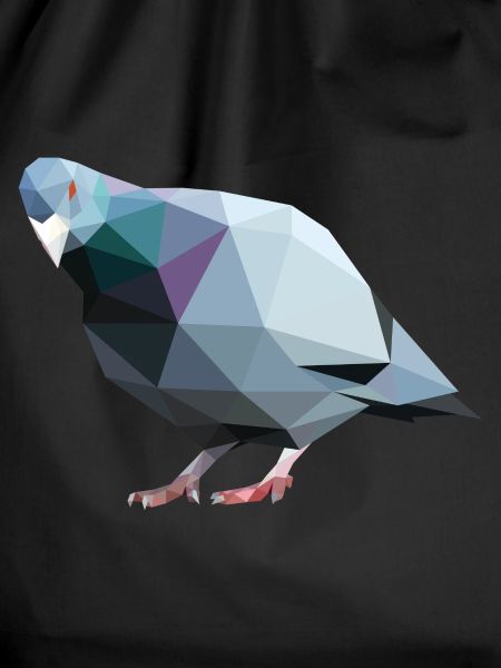 Geometric Pidgeon