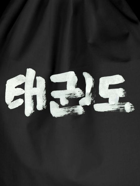 Taekwondo / Ink