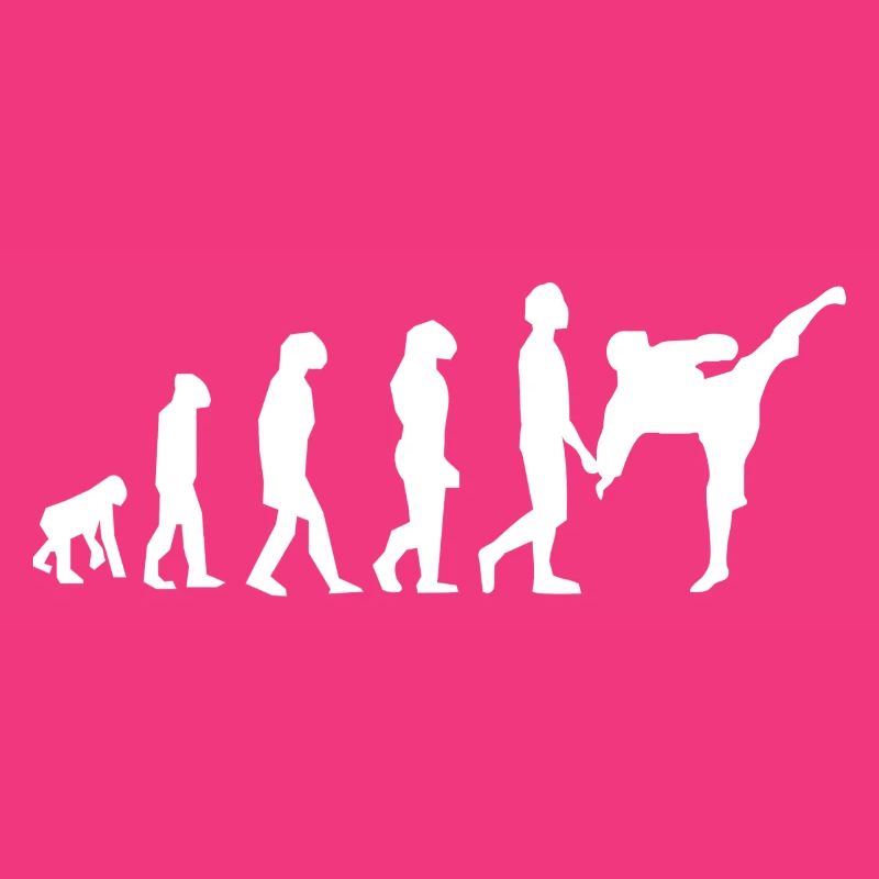 Art martiaux évolution