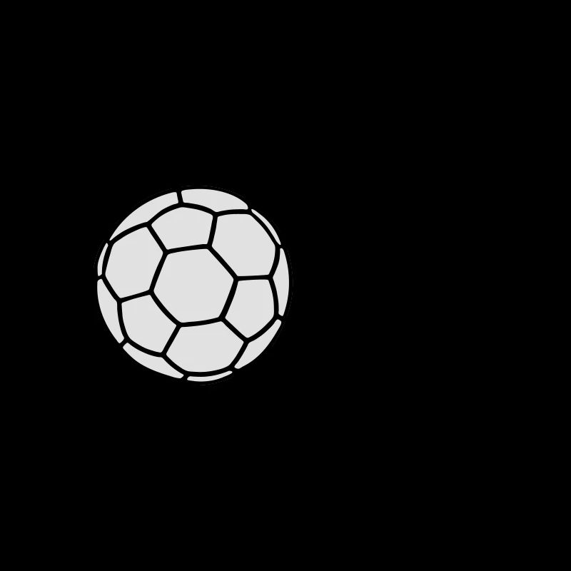 Handball Coach