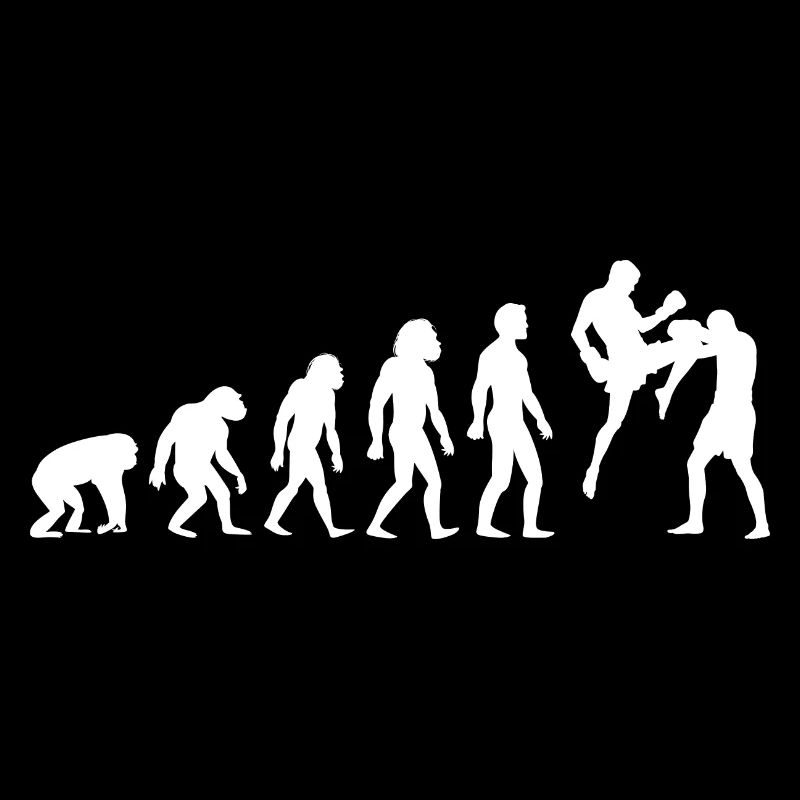 Kickboxen Thai Boxen Evolution MMA Krav Maga