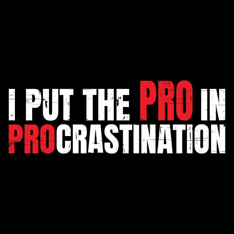 Je mets le pro dans la procrastination 7