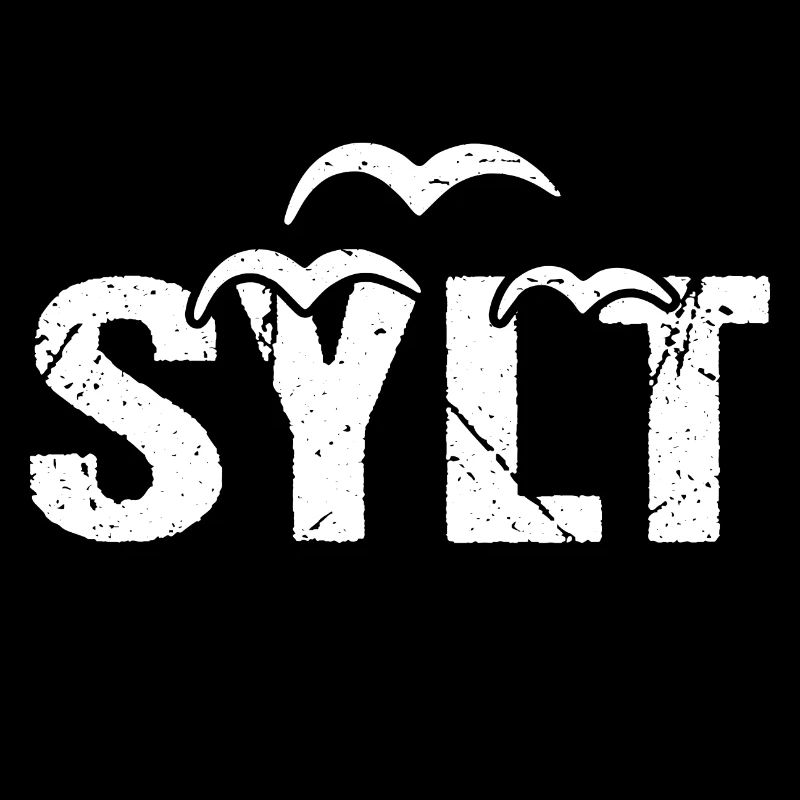 Sylt Insel Möwen