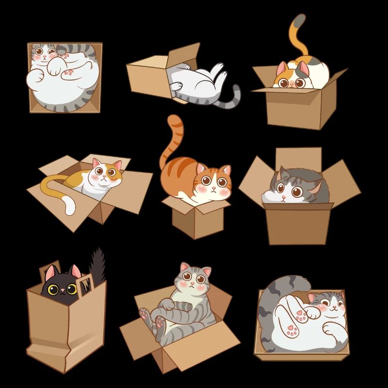 Cats in Boxes