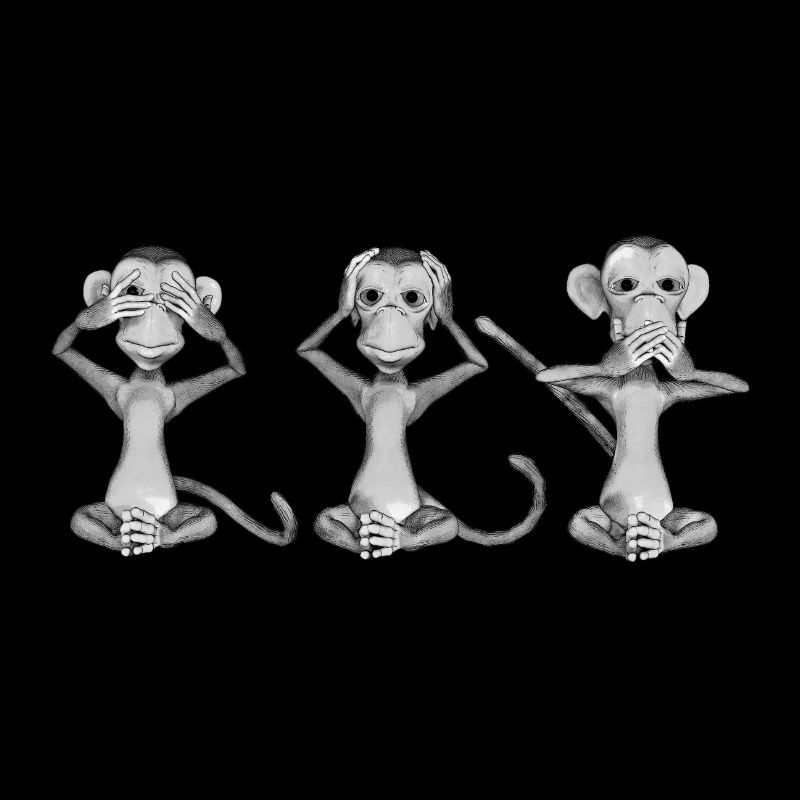 The three monkeys