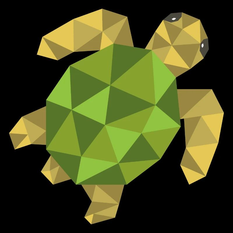 Turtle Geometric Gift Triangle Hipster