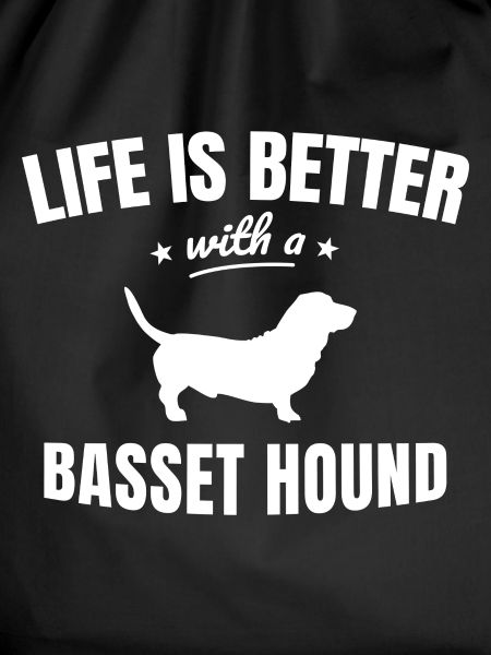 Basset Hound