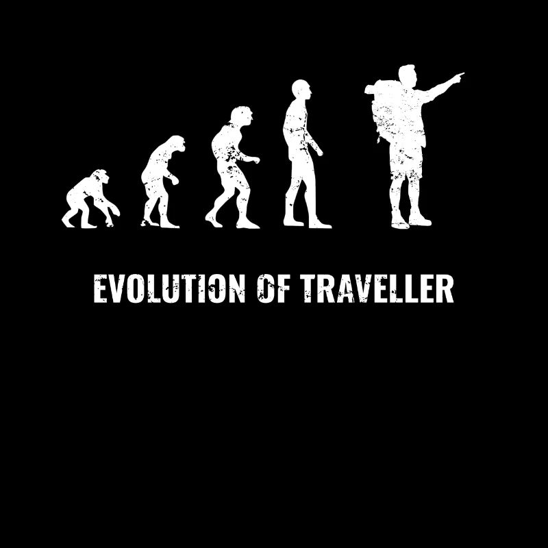 Évolution de Traveler Traveller