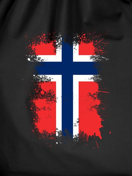 Norway flag art