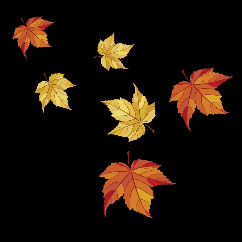 Feuilles d’érable en automne