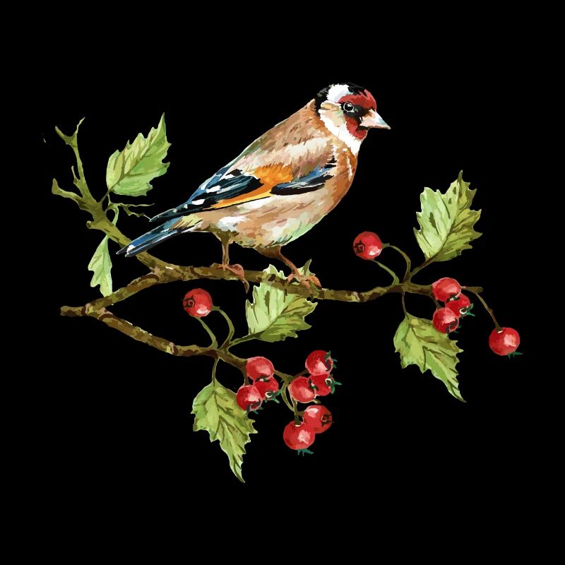 Goldfinch bird
