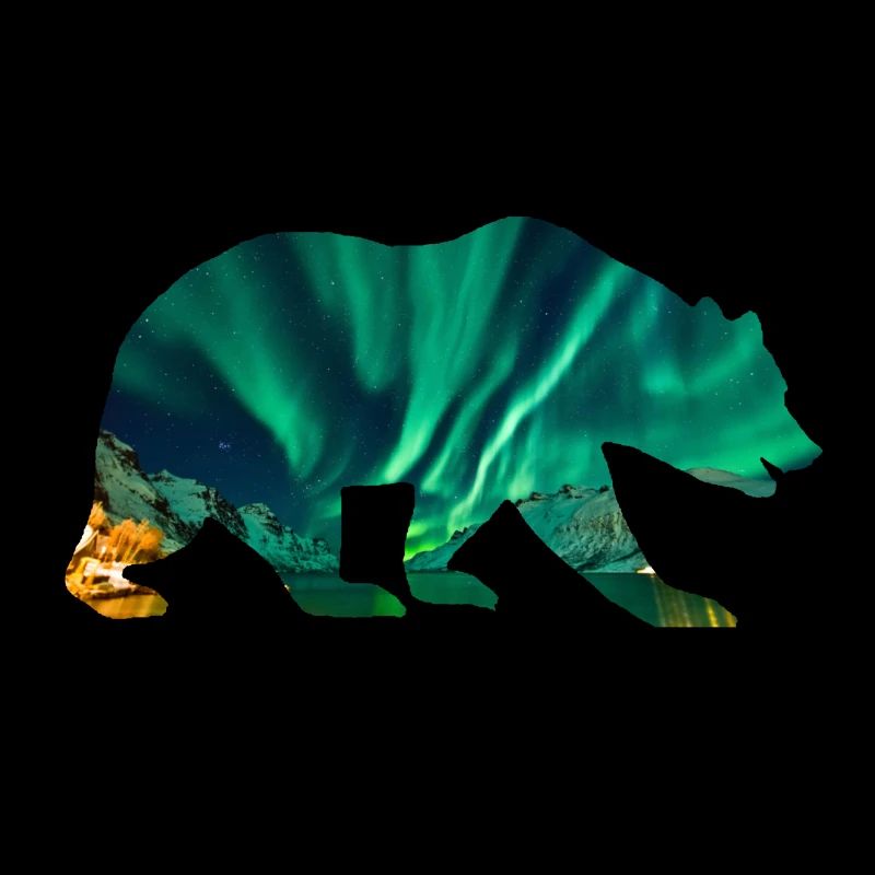 Eisbär Polarlichter