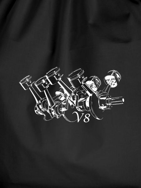 V8 engine