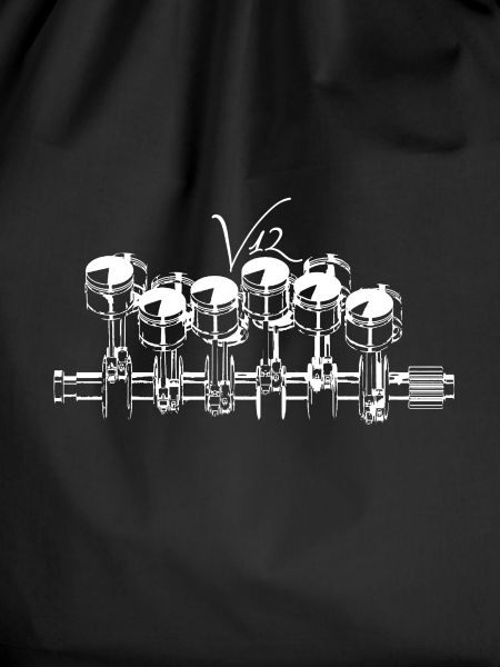 V12 engine