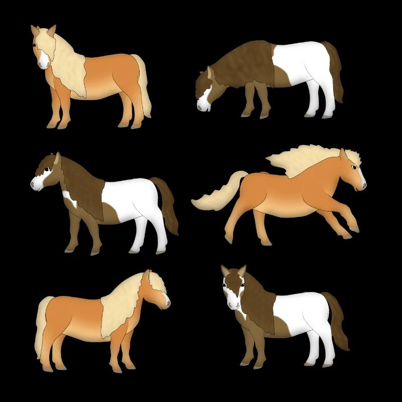 Shetlandpony Sélection