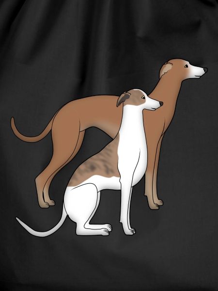 Zwei Whippets