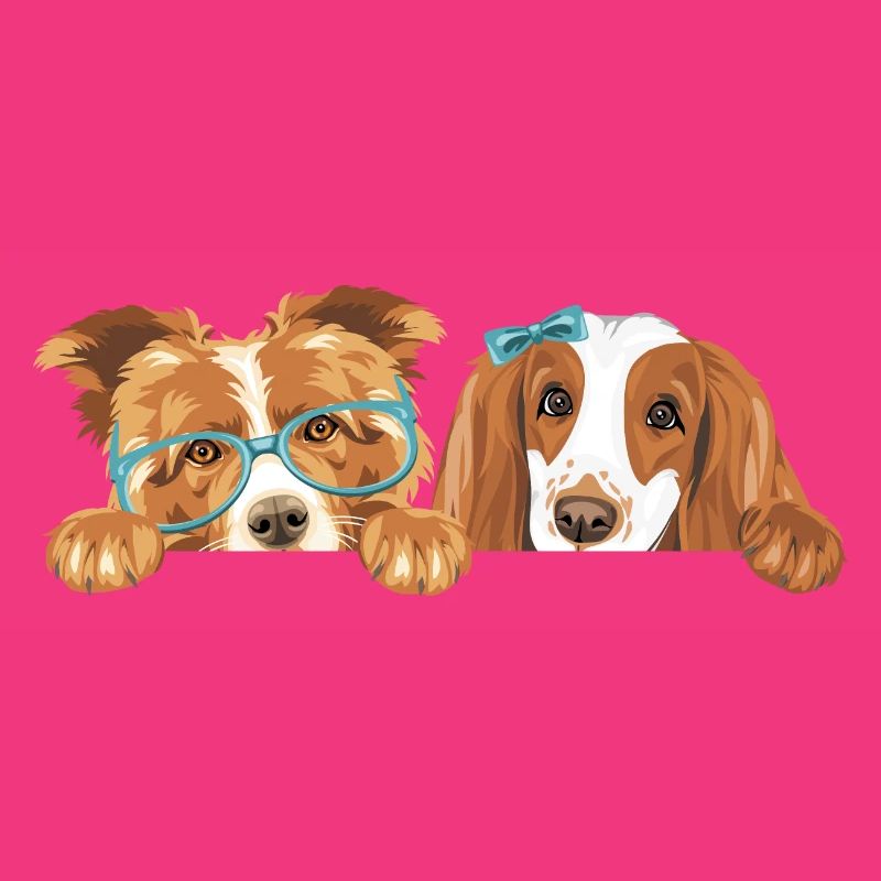Chien Border Collie et Cocker Spaniel