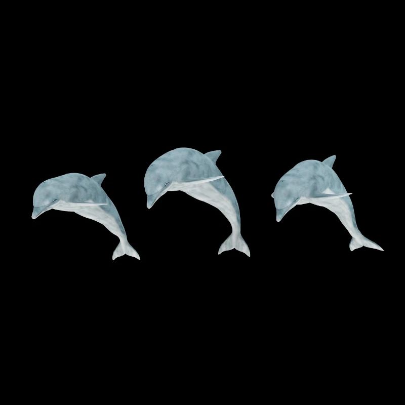 Three jumping dolphins