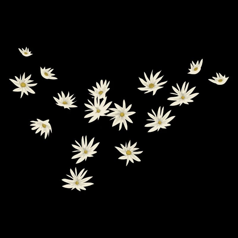 Gaenseblume Fruehling Natuerliche Geschenkidee