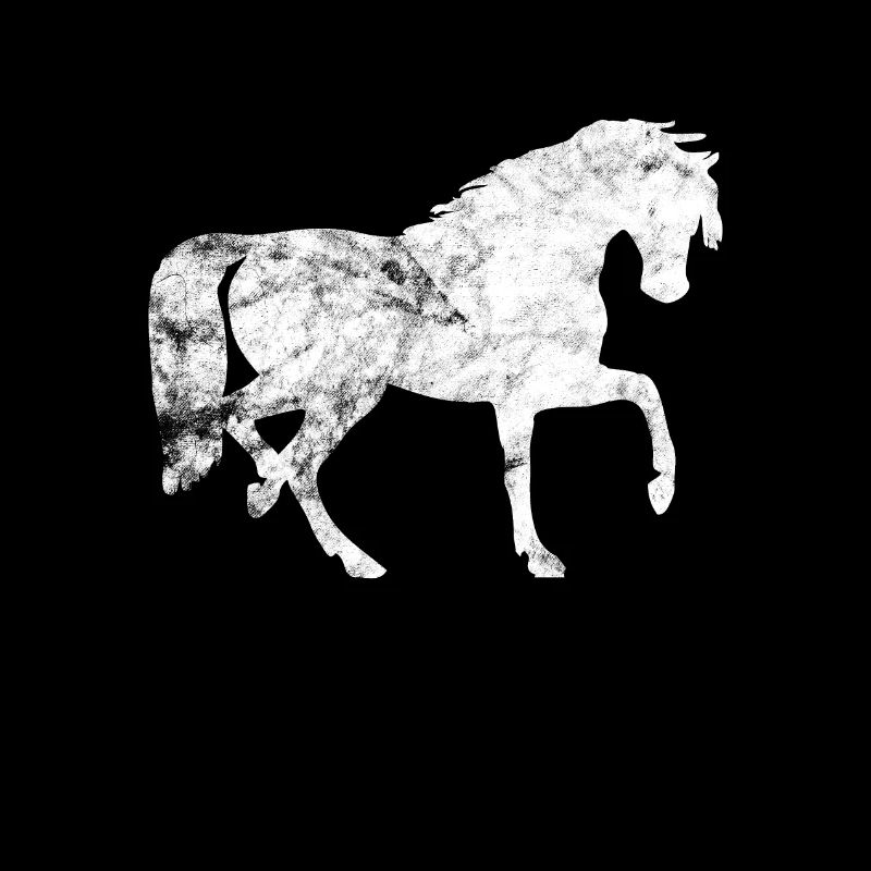 poney