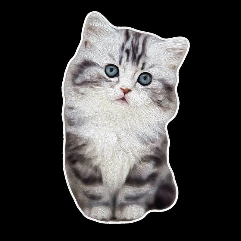 Niedliches Kätzchen Mietzekatze Samtpfote Katze