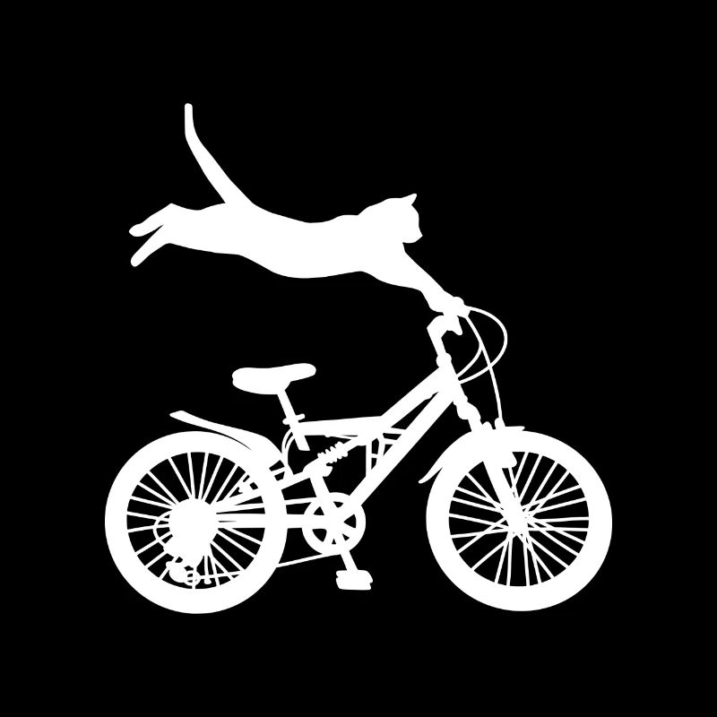 VÉLO DE CHAT