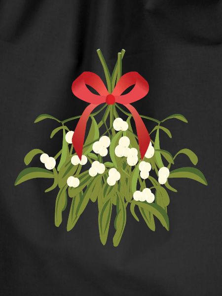 Christmas mistletoe