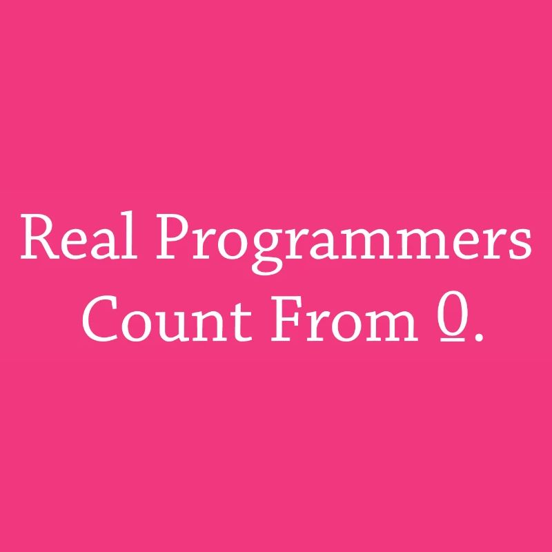 Programmer Coder Software Developer