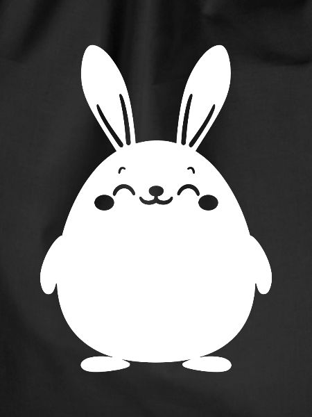 Little Baby Bunny