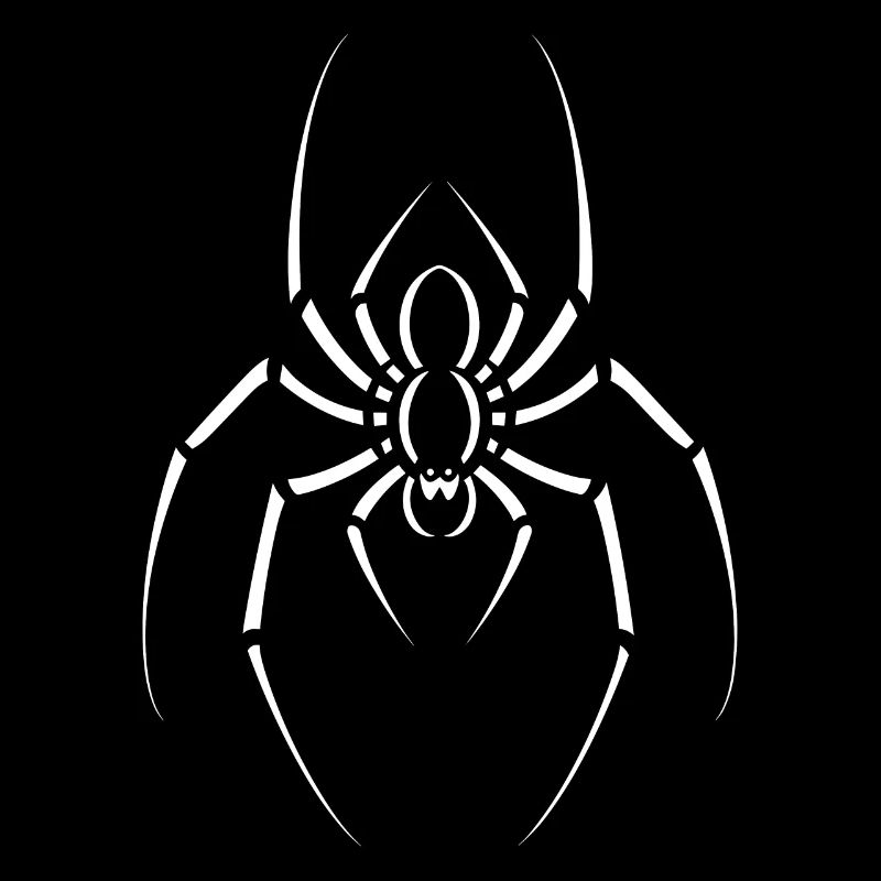 Spinne
