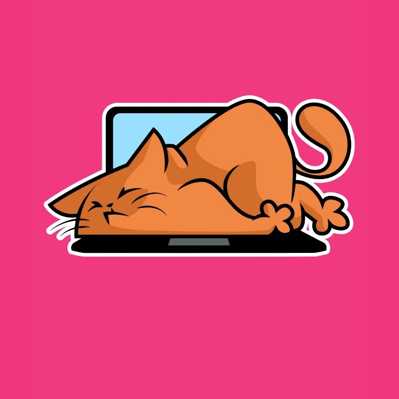 Cats and computers