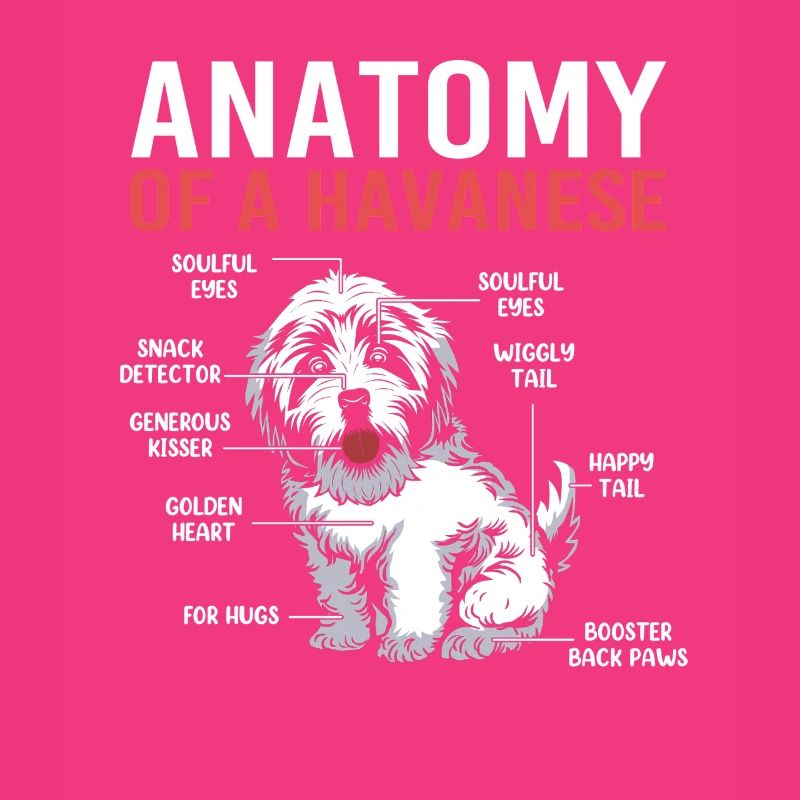 Havanese