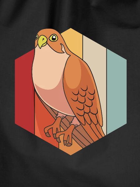 Falcon Chirp Falconry