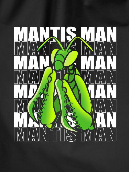 Worshipper Mantis Mantis