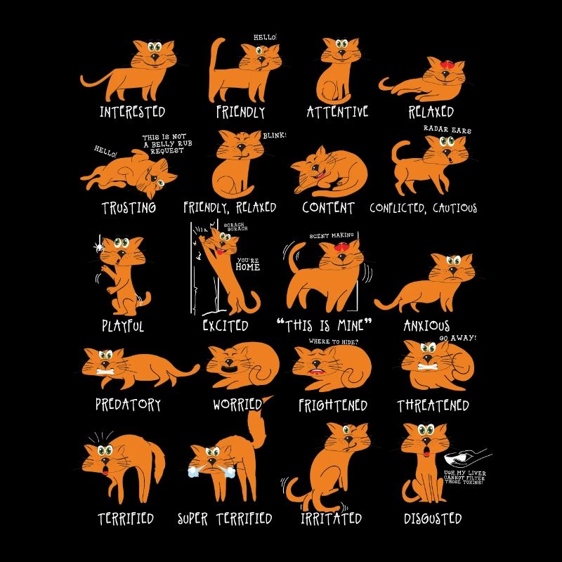 Cat Cats Gift