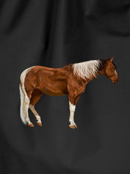 Pferde Pferd