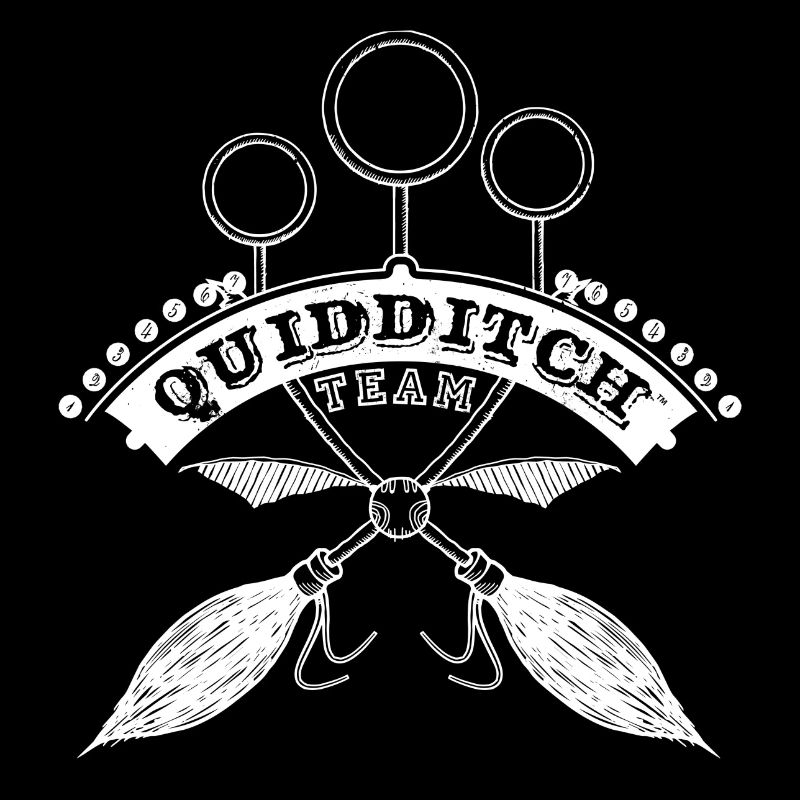 Harry Potter Quidditch Team