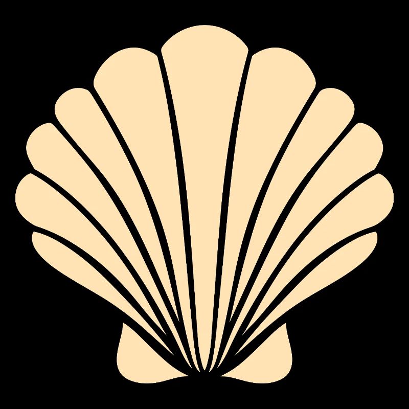 coquillage