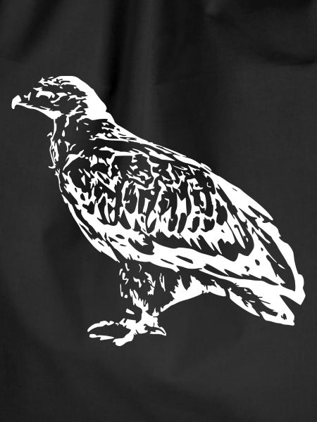 Falcons Birds Birds
