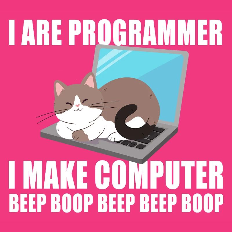 Ich bin Programmierer
