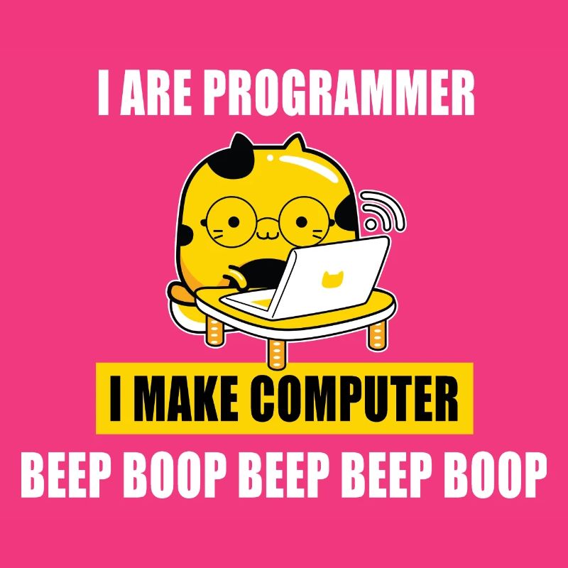 I are programmer