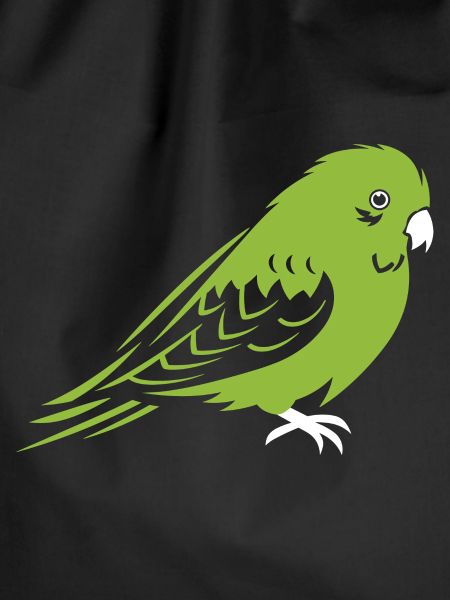 Cute little parakeet