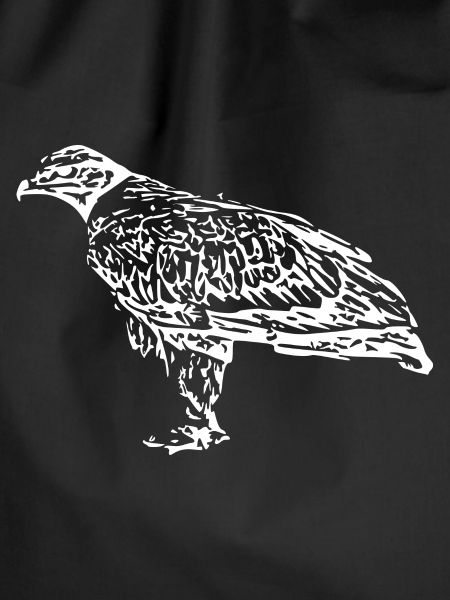 Falcons Birds Birds