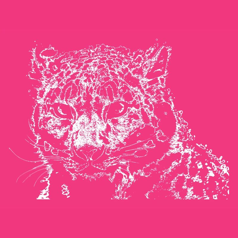 Snow leopard