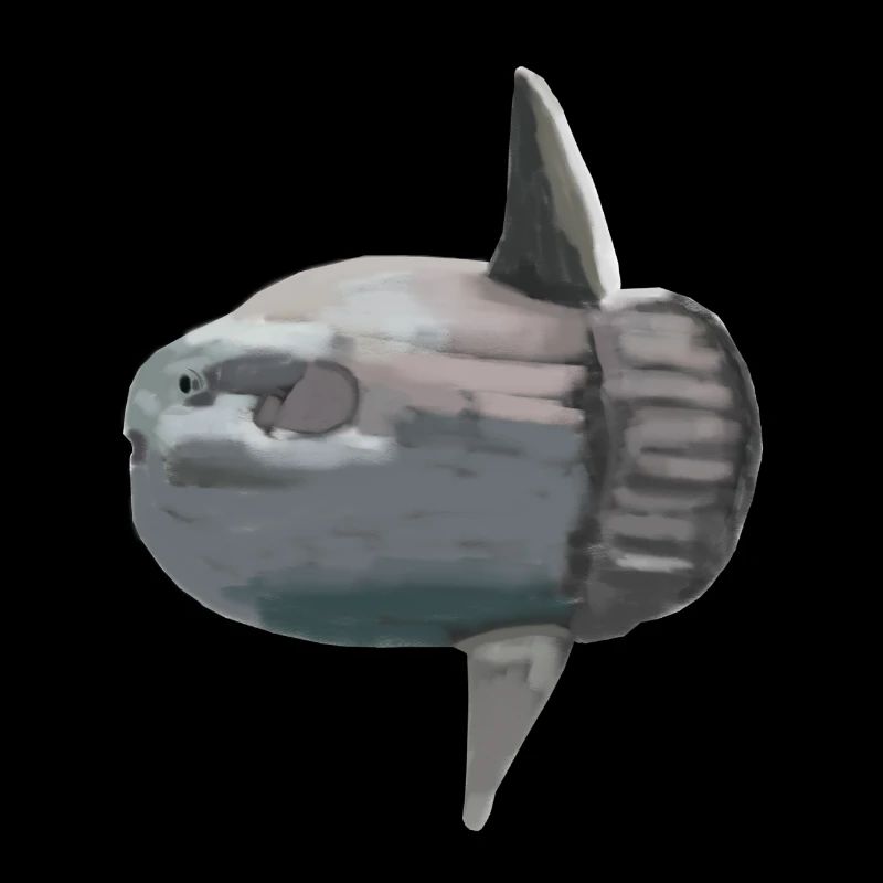 Sunfish